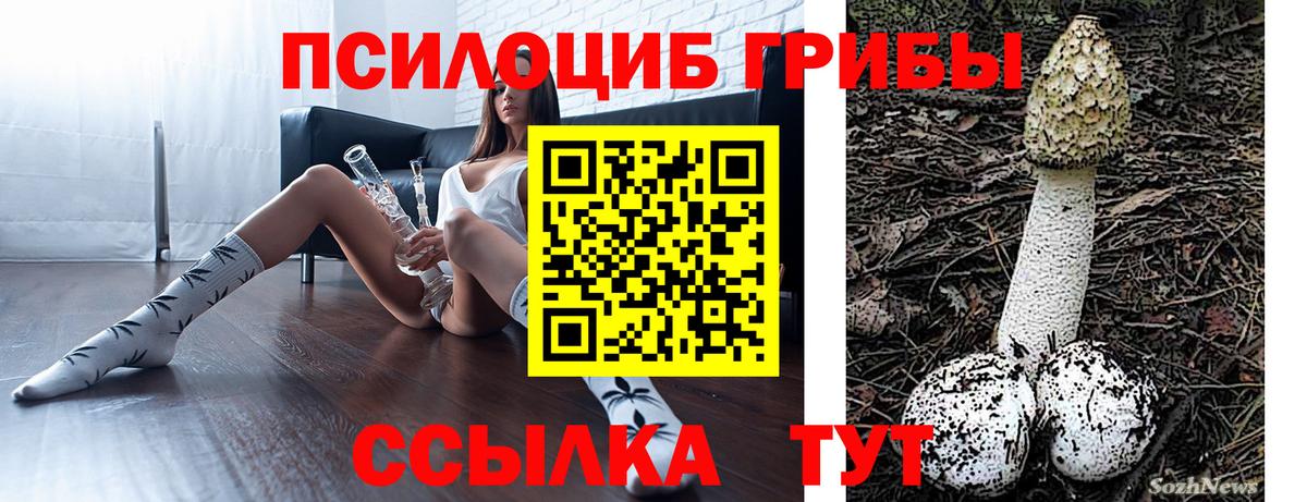 Серов  Псилоцибиновые грибы MAGIC MUSHROOMS  Вход с VPN  Псилоцибиновые грибы Psilocybine cubensis 