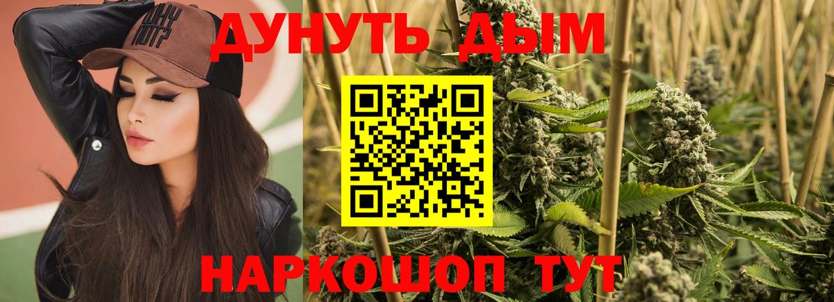 Серов  Бошки Шишки ГИДРОПОН  Вход с VPN  Канабис семена 